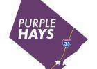 Purple Hays